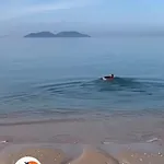 Fllad Deti 02 Vlorë