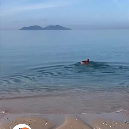 Fllad Deti 02 Vlorë